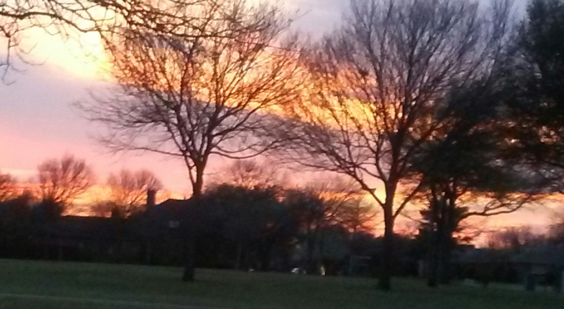 20180315_194237-1 (1)